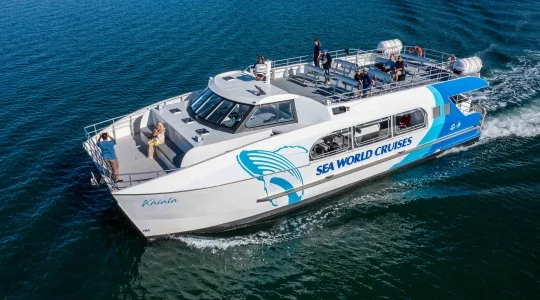 ゴールドコースト発！クジラに会いに行く感動のクルーズ